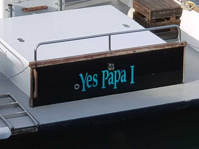 Yes Papa
