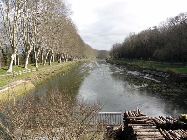 Biuef de Mazerac