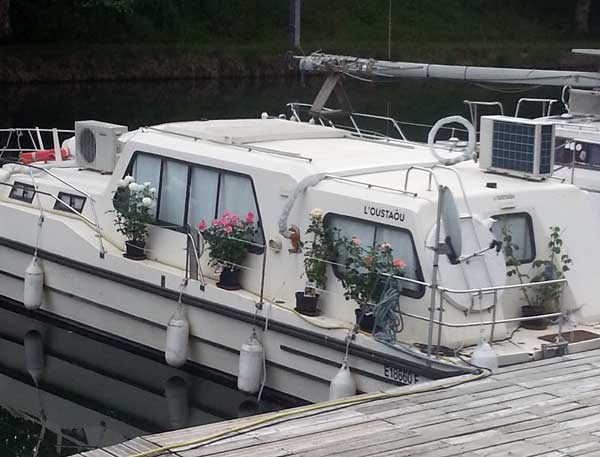 Fleurs sur un bateau