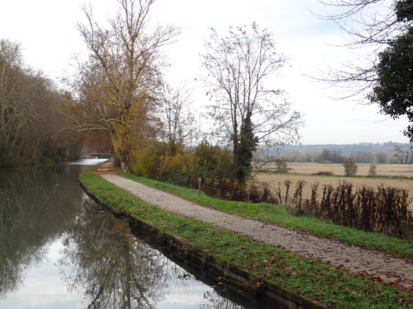 Paysage entre canal et Garonne