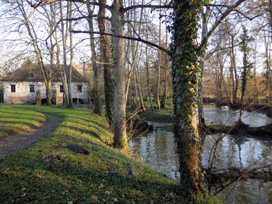 Canal de La Sauldre - L'hopital
