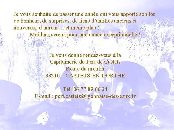 Voeux 2013